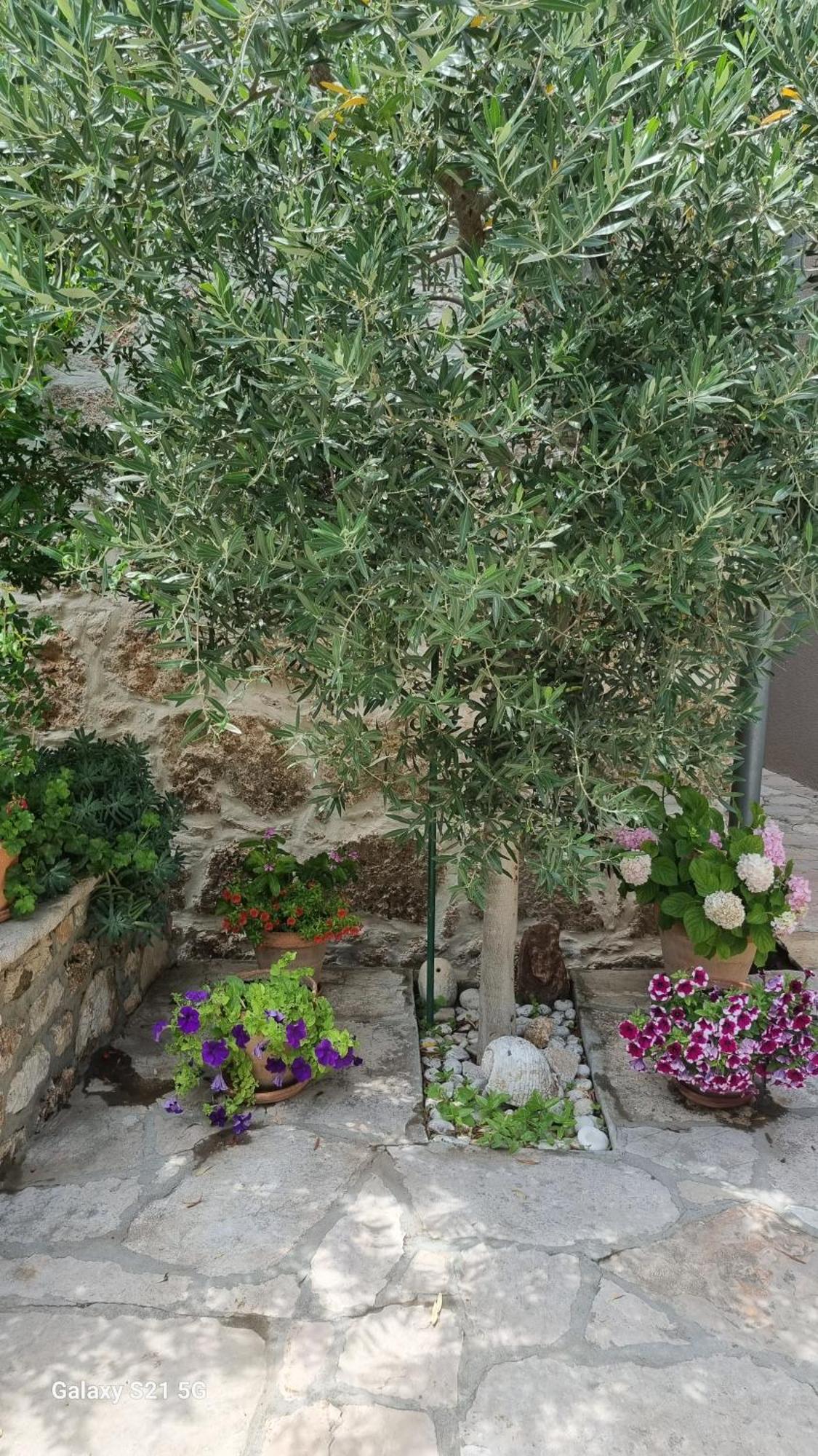 Paradise Stone Apartments بول المظهر الخارجي الصورة
